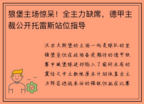 狼堡主场惊呆！全主力缺席，德甲主裁公开托雷斯站位指导